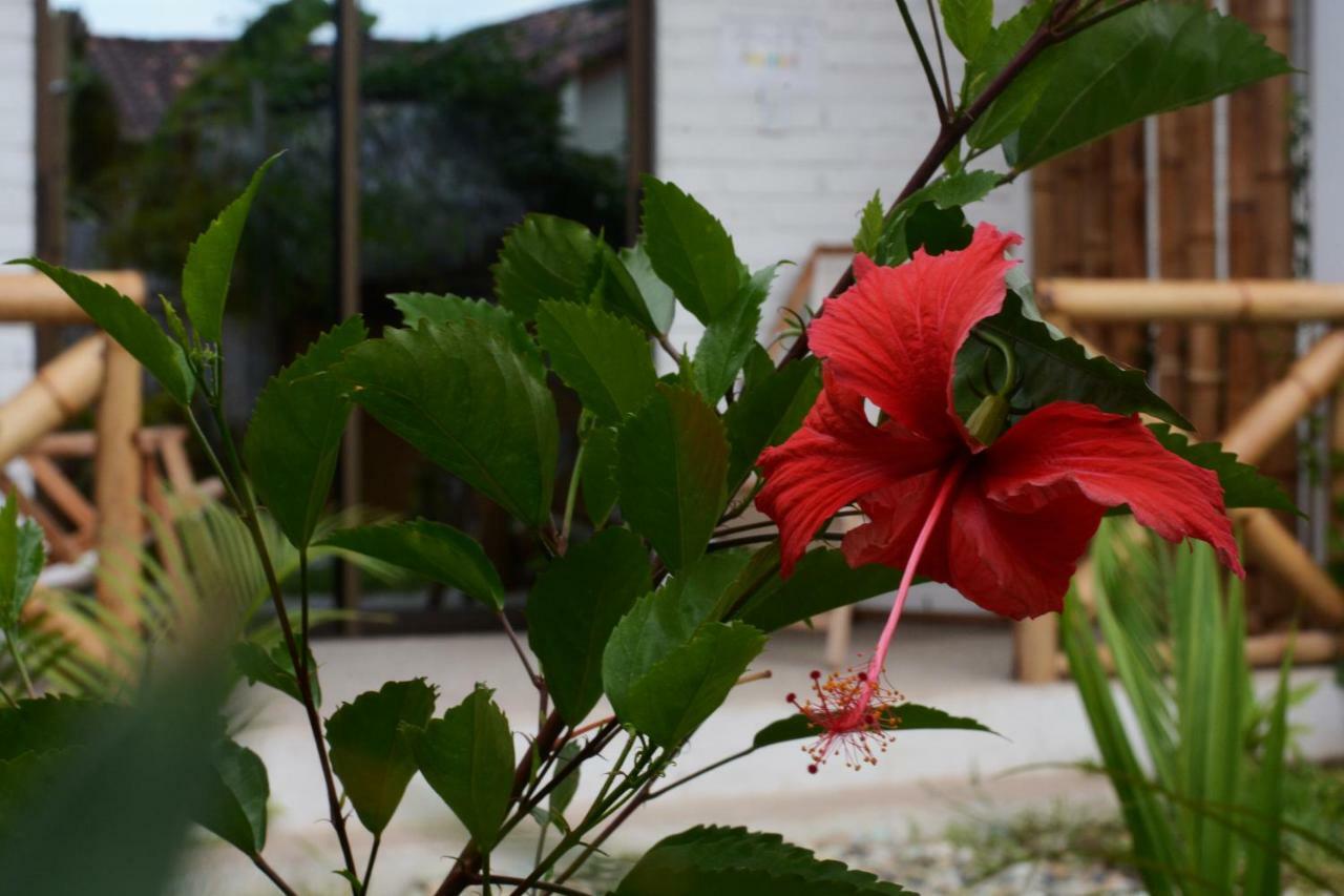 Casita Madame Hotel Puerto Lopez Ngoại thất bức ảnh
